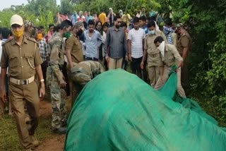 elephant death in khordha