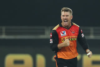 David Warner creates history, becomes first player to register 50 fifty-plus scores in Indian Premier League