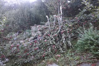 storm in purbani village