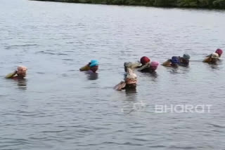 A special story on Women- collecting seaweed survive