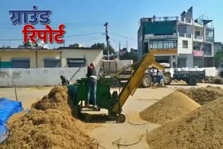 Paddy procurement in Ballabgarh Grain Market