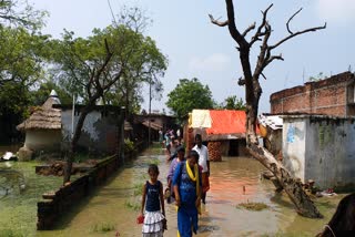 लगातार बारिश से फसलें बर्बाद हो गईं.