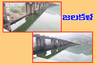 kalyana lova and tandava reservoirs reached full water level in vishakha district