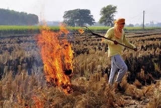 aap leader raghav chaddha blame neighbor state for pollution in delhi