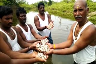 thousands-of-fish-died-in-lake-from-insecticide-spraying-by-unknown-people