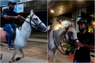 horse ride  love for horses  മലപ്പുറം  malappuram  കുതിര സവാരി  കുതിര കമ്പം