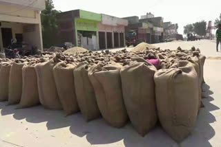 farmers facing problem in rohtak grain market