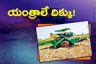 Crisis for crop harvesting in telangana