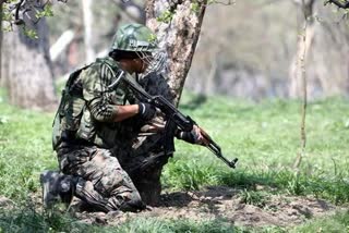 2 terrorists killed in J&K encounter