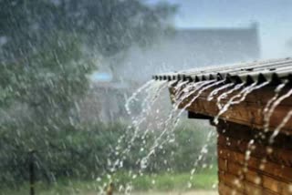 weather update: Heavy rain likely on Sunday-Monday in these parts of the country