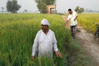 farmers said we have no other way but to burn stubble