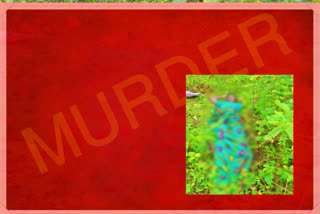 woman was killed in fatepoor forest in mahabubnagar
