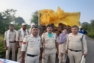 Panna police caught vehicle smuggling teak