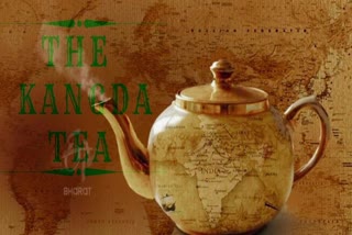 SPECIAL STORY ON KANGDA TEA MADE AT PALAMPUR IN HIMACHAL PRADESH