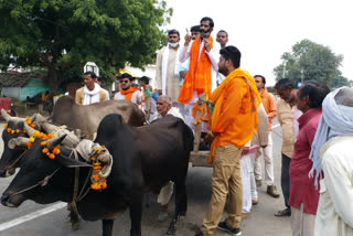 jawaharlal rajput bullock cart trip