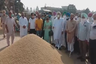 Every single peddy grain of farmers will be procured say rana kp