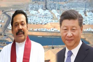 Sri Lanka china to deepen developement cooperation