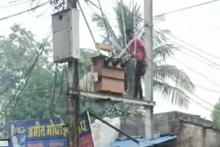 Mounted on electric pole, the young man was removing the cable