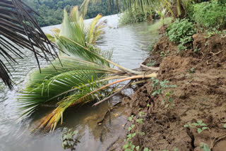 terekhol rivers high tides affecting crops in sindhudurg