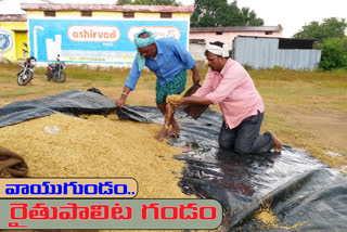 Grain soaked in heavy rain In Kamareddy District