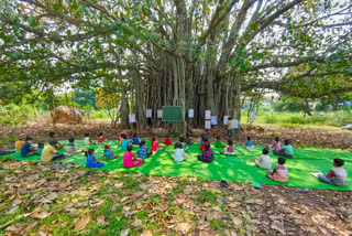 mohalla class under banyan tree in kawardha