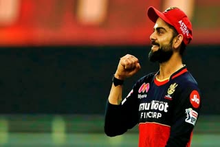 virat kohli completes 6000 runs for rcb in ipl