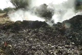 Garbage being burnt in Rajokari forest delhi pollution