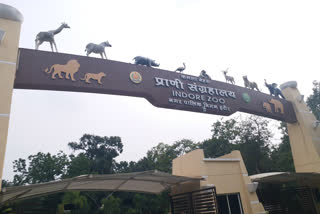 Competitions organized on the occasion of Wildlife Week