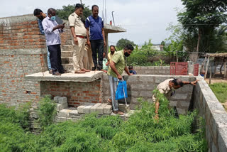 marijuana grown within house compound in Chamrajnagar