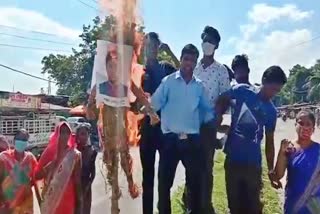 effigy burn of MP Pallab Lochan Das in golaghat assam etv bharat news