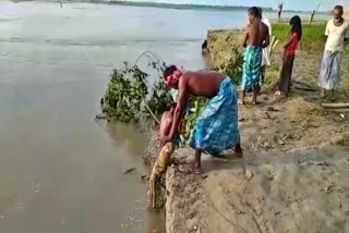 Erosion protection by Public in Barpeta