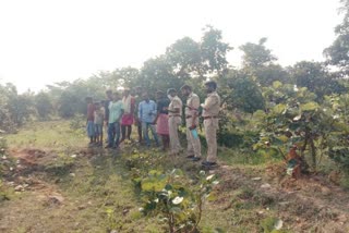 Elephant crushed a man in seraikela, Elephant in Seraikela, Seraikela Forest Department, हाथी ने सरायकेला में एक शख्स को कुचला, सरायकेला में हाथी का उत्पात, सरायकेला वन विभाग की खबरें