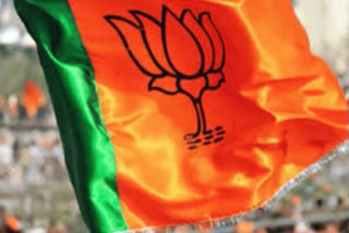 BJP releases a list of 30 star campaigners for upcoming BiharElections2020