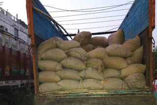 hemp recovered in varanasi