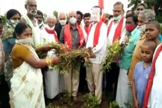 damaged agriculture and horticulture crops in kurnoo