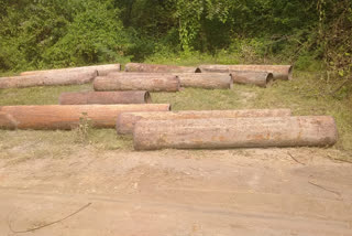 28-meter-theft-pipe-recovered-from-the-satpura-plant-table-betul