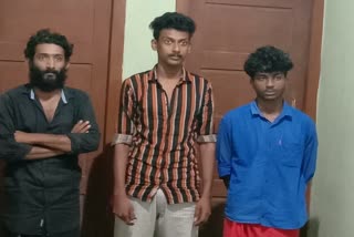 Three arrested with cannabis  cannabis  raid  കഞ്ചാവ് പിടിച്ചു  തിരുവനന്തപുരം വാര്‍ത്തകള്‍  തിരുവനന്തപുരത്ത് കഞ്ചാവ് പിടിച്ചു