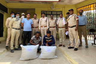 Police recovered 11 lakh hemp, arrested two accused