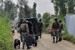 A gunfight broke out between militants and security forces in Rambagh area of central Kashmir's Srinagar