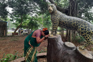 tribals celebrate CM thackeray's decision on Aarey forest