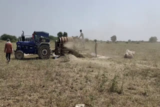 सोयाबीन की पैदावार कम, Soybean yield reduced