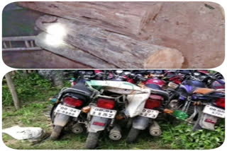 One arrested  and fourty thousand rupees worth of smuggled timber smuggled timber in keojhar