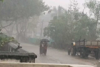 Heavy rains in anakapalli, narseepatnam sub divisions in vizag district