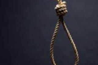 Farmer commits suicide