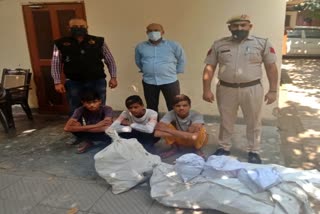 faridabad crime branch arrested 3 theft accused