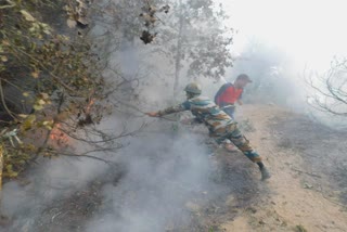 forest fire in kishtwar Jammu Kashmir