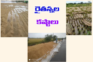 Heavy rain nizamabad crop fields damaged