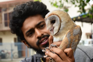 Mysore: Unique White Owl found in the city