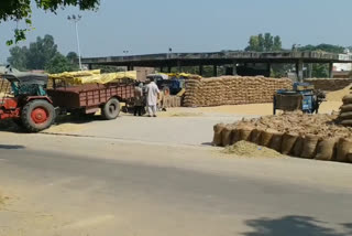 commision agents and farmers of rupnagar disturbed due to non-payment of purchased paddy