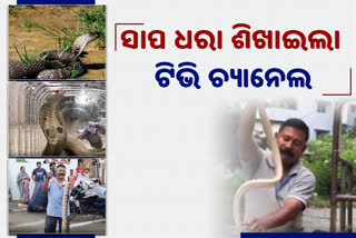 a-auto-driver-catching-poisonous-snake-in-rayagdha